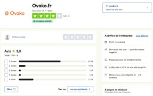 avis trust pilot ovoko